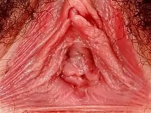 Hairy Sex Closeup - Hairy sex - porn videos @ Sunporno